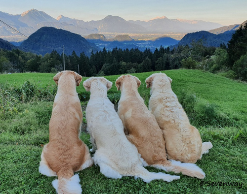 3_sevenway-maedels_aussicht