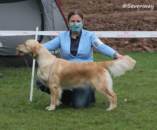 3_sra_ellwangen_2020_robyn