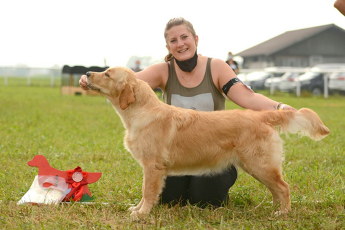 4-dog-show-project_2020_mandy