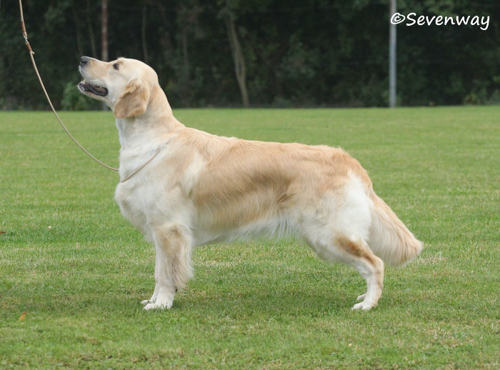 4_sra_ellwangen_2020_willow