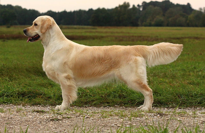 maeby_stand_2j-3m